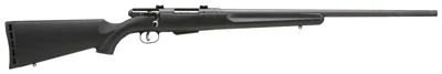 SAVAGE 25 WALKING VARMINTER - 17HORNT 22" ACU-TGR BL/BLK SYN